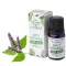 Stamford Pflanzliches Patchouli Aromaöl mit Gewürzen (10ml)