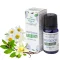 Stamford Pflanzliche Meditation Aromaöl (10ml)