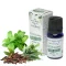 Stamford Pflanzliches Erfrischungsaromaöl (10ml)