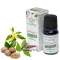  Stamford Plant Based Sensual Aromaöl (10ml)
