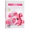 Duft-Teelichter – 6 Stück – Rose
