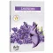 Duft-Teelichter – 6 Stück – Lavendel