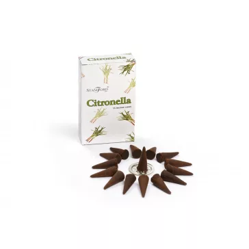 Duftende Kegel - Citronelle